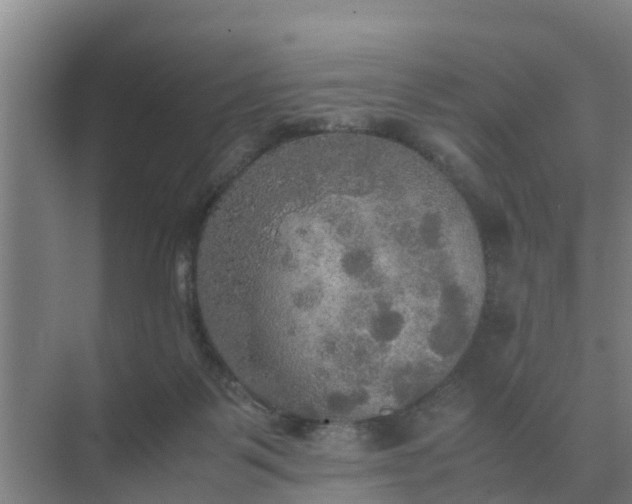 X0000074970123200609152132