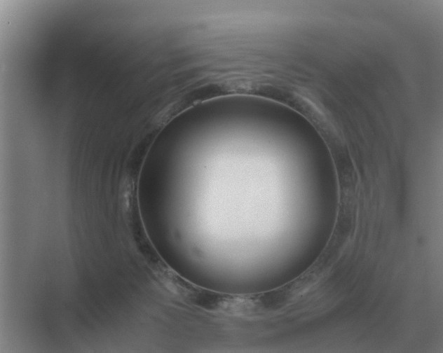 X0000074970125200609152132