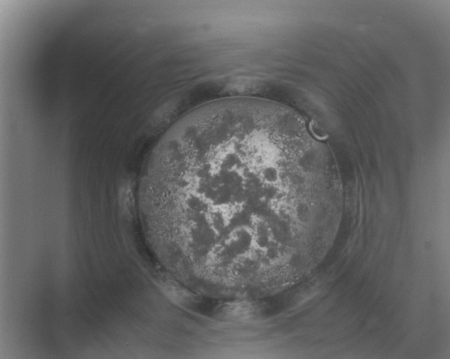 X0000074970127200609152132