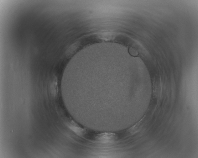 X0000074970128200609152132