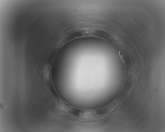 X0000074970129200609152132