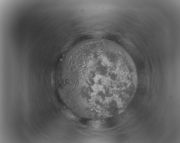 X0000074970131200609152132