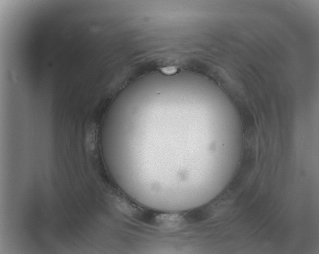 X0000074970133200609152132