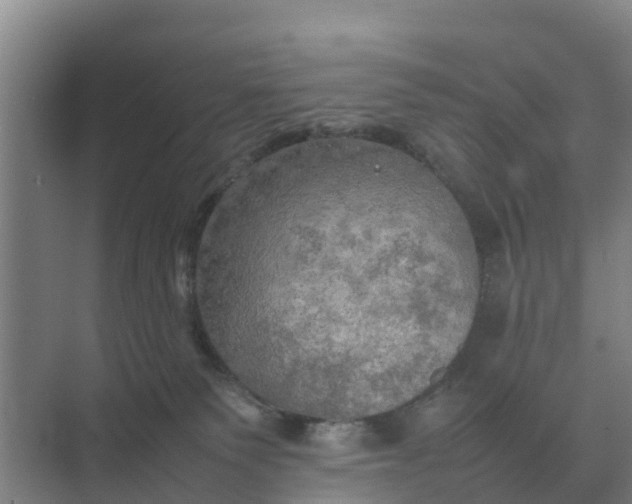 X0000074970135200609152132