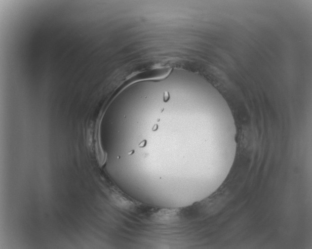 X0000074970138200609152132