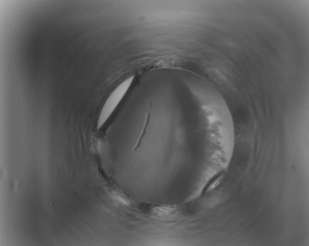 X0000074970139200609152132