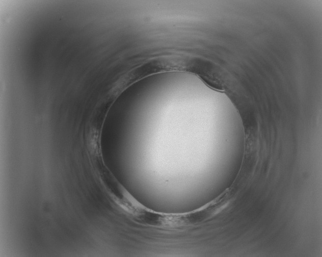 X0000074970141200609152132