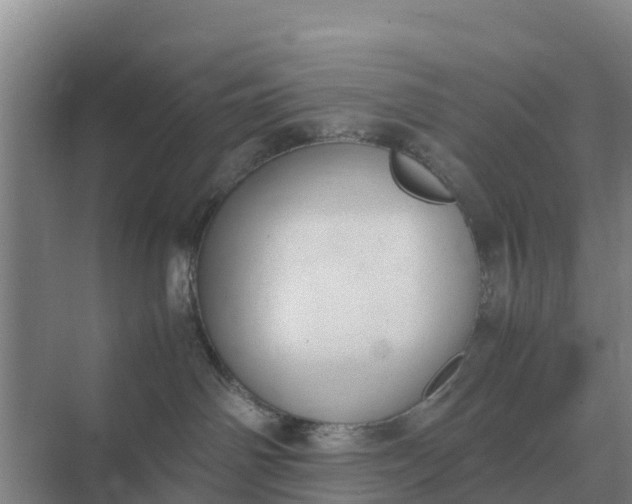 X0000074970142200609152132