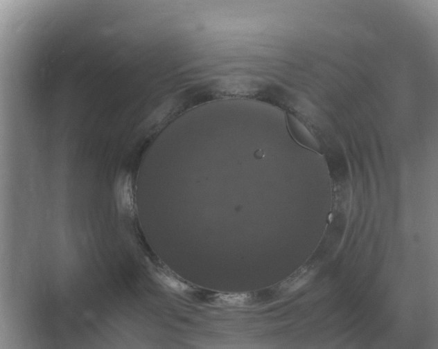 X0000074970143200609152132