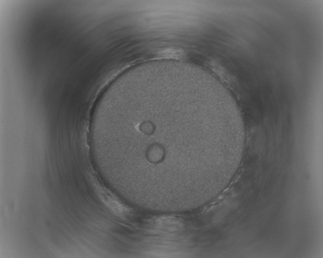 X0000074970146200609152131