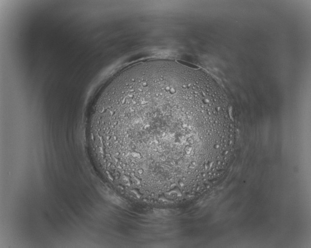 X0000074970149200609152131