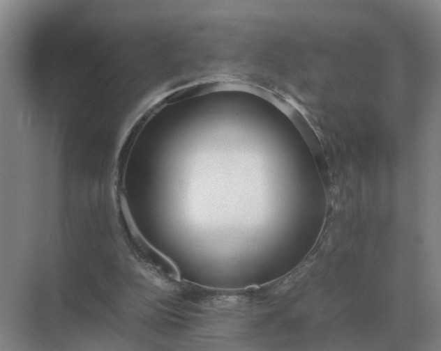 X0000074970152200609152131