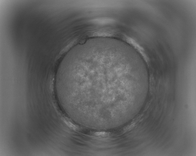 X0000074970153200609152131