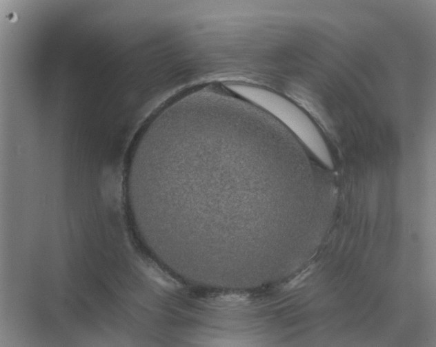 X0000074970156200609152131