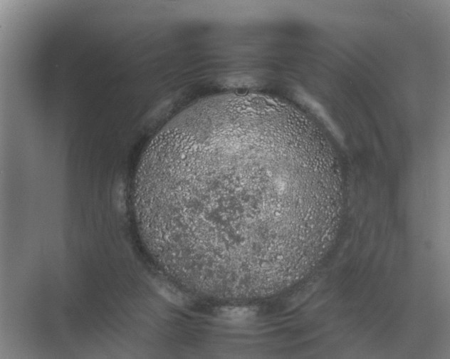 X0000074970161200609152131