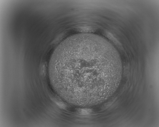 X0000074970165200609152131