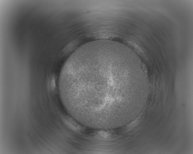 X0000074970166200609152132