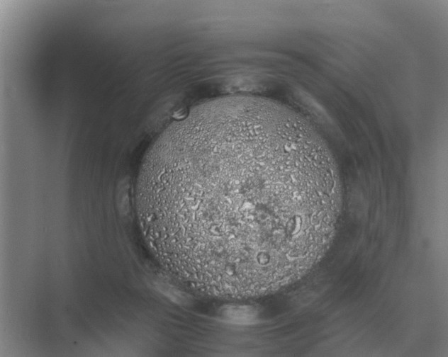 X0000074970169200609152132