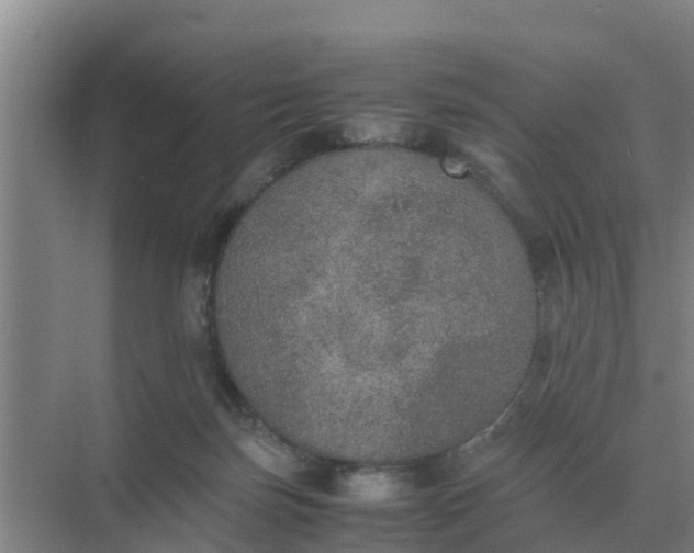 X0000074970171200609152132