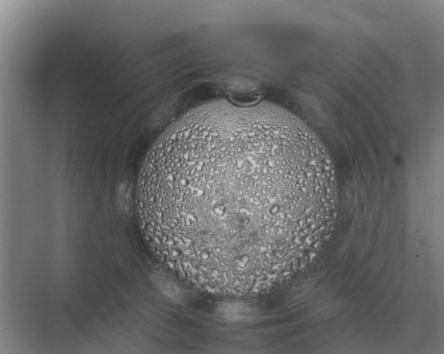 X0000074970177200609152132