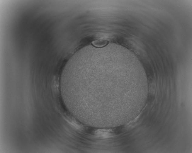 X0000074970179200609152132