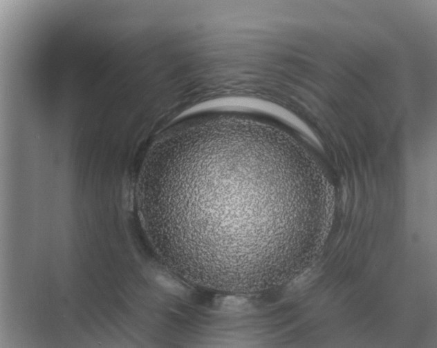 X0000074970180200609152132