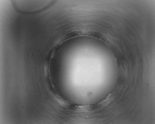 X0000074970188200609152132