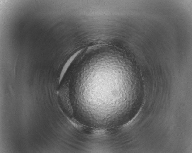 X0000074970192200609152132