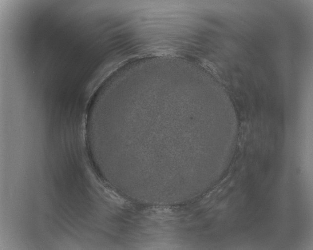 X0000074970194200609152131