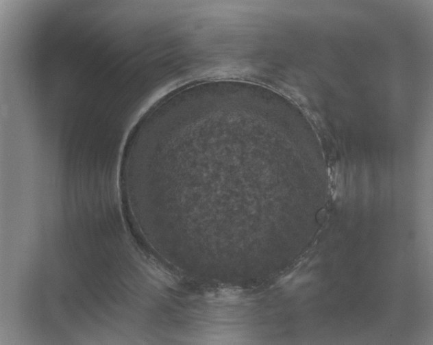 X0000074970196200609152131