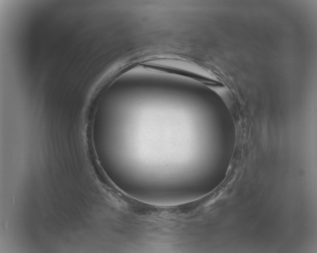 X0000074970197200609152131