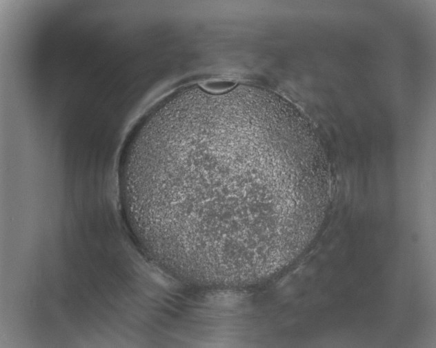 X0000074970198200609152131