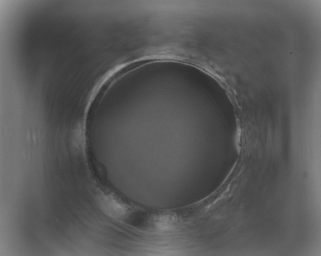 X0000074970200200609152131