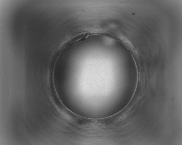 X0000074970201200609152131