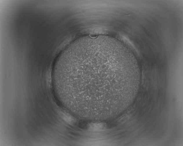 X0000074970202200609152131