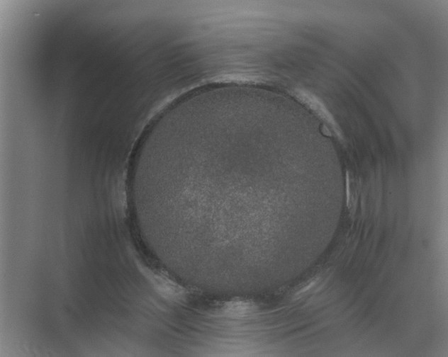 X0000074970204200609152131