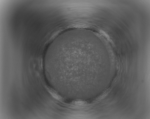 X0000074970205200609152131