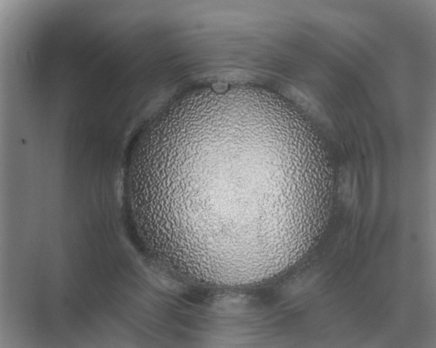 X0000074970206200609152131