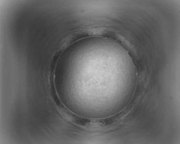 X0000074970209200609152131