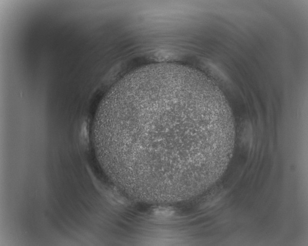 X0000074970214200609152131