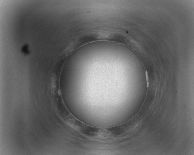 X0000074970215200609152131