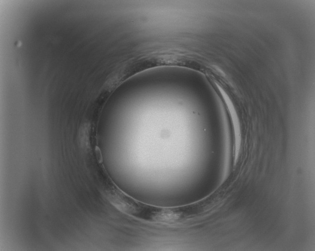 X0000074970217200609152131