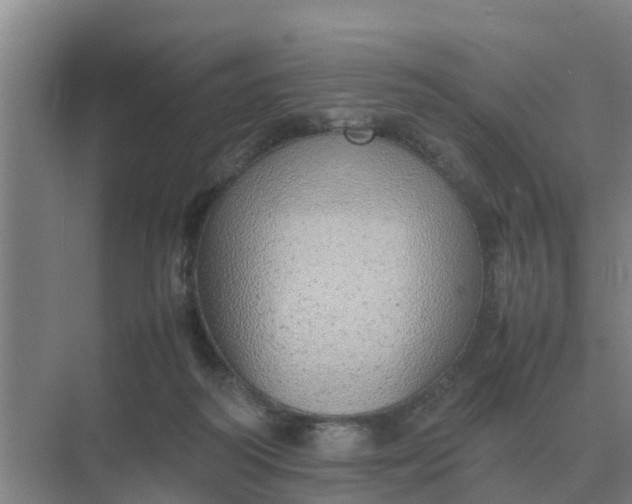 X0000074970218200609152131