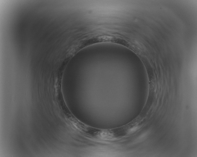 X0000074970223200609152131