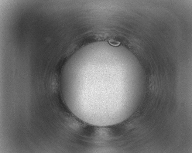 X0000074970226200609152131