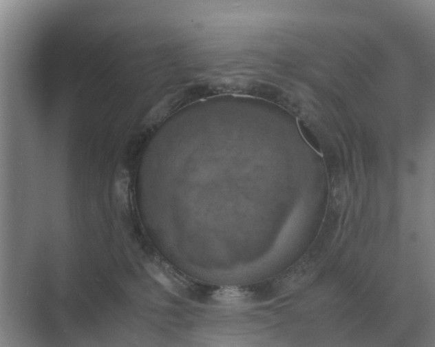 X0000074970231200609152131