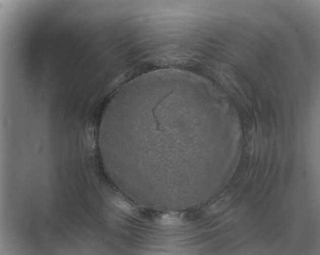 X0000074970232200609152130