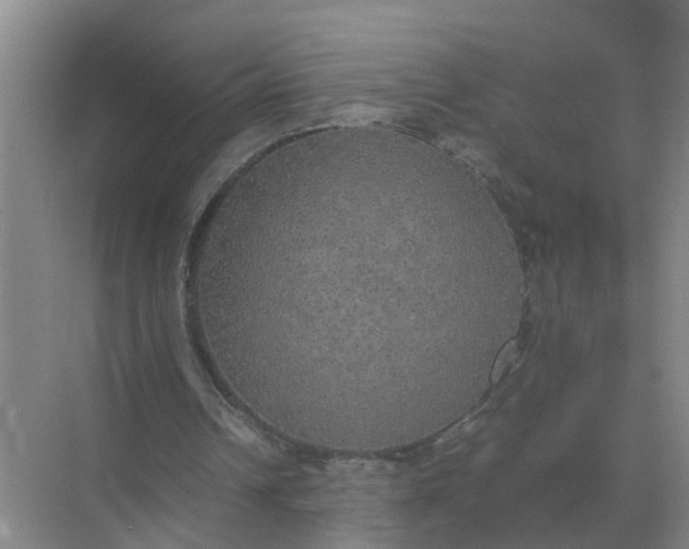 X0000074970242200609152130