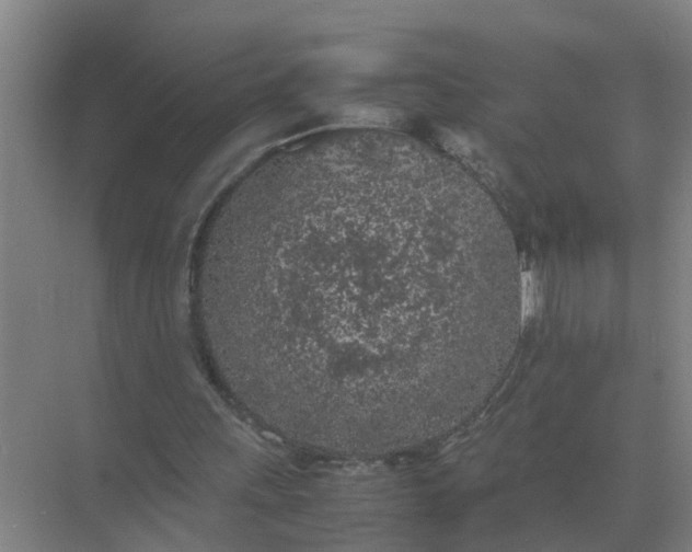 X0000074970243200609152130