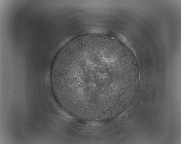 X0000074970249200609152130